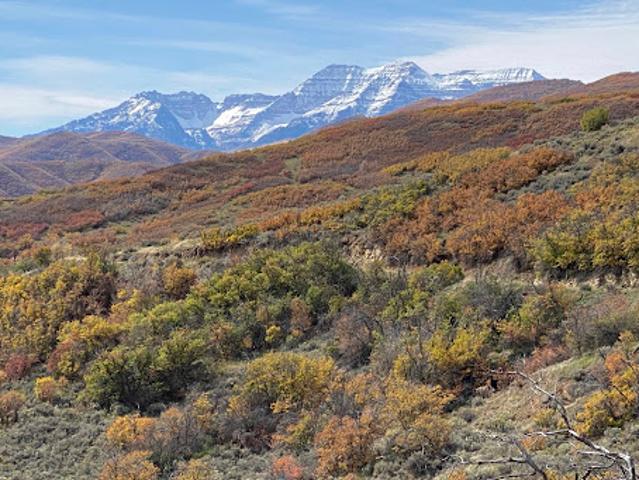 Land for sale in Midway, Utah