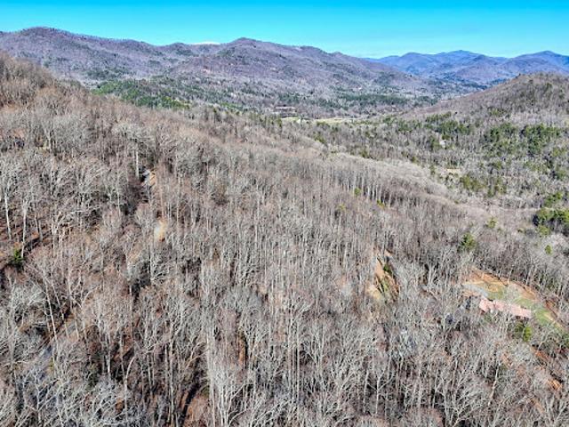 Land for sale in Tiger, Georgia