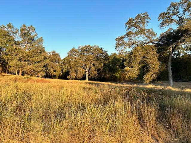 Land for sale in Loomis Land for sale in Loomis