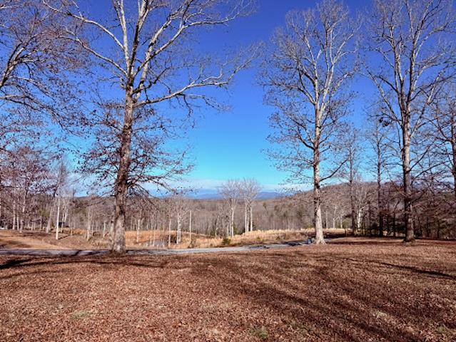 Land for sale in Blue Ridge, Georgia