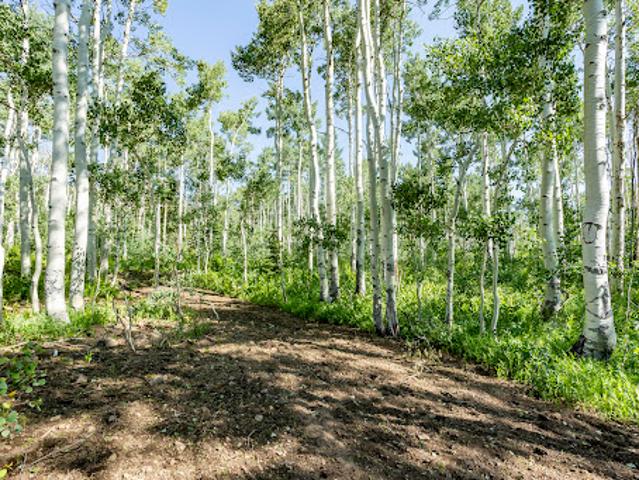 Land for sale in Midway Land for sale in Midway