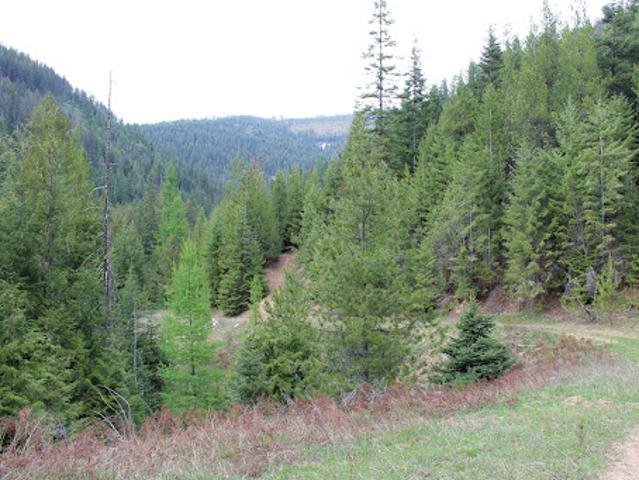 Land for sale in Shoshone, Idaho