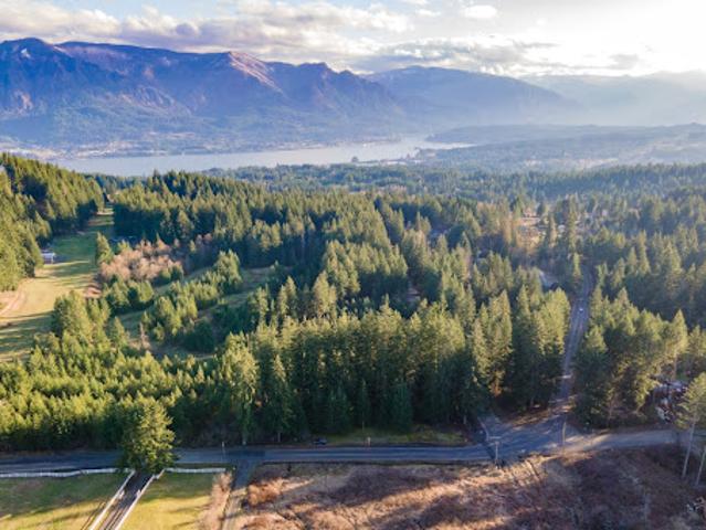 Land for sale in Stevenson, Washington