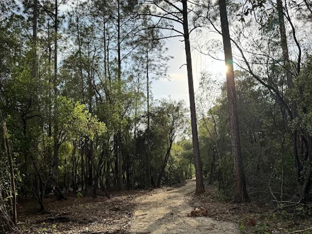 Land for sale in Bonifay, Florida