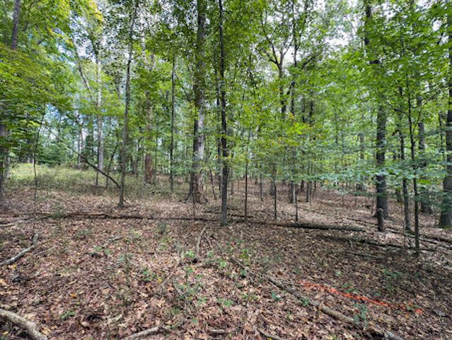 Land for sale in Cobb, Georgia