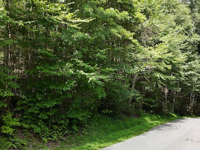Land for sale in Watauga, North Carolina