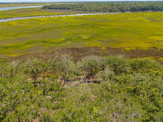 Land for sale in Glynn, Georgia