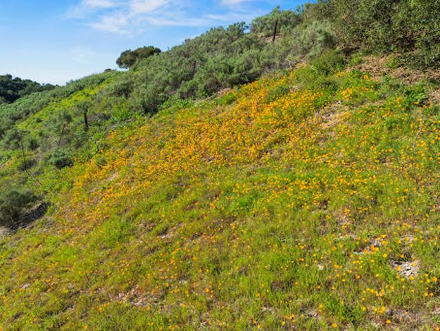 Land for sale in Buellton, California