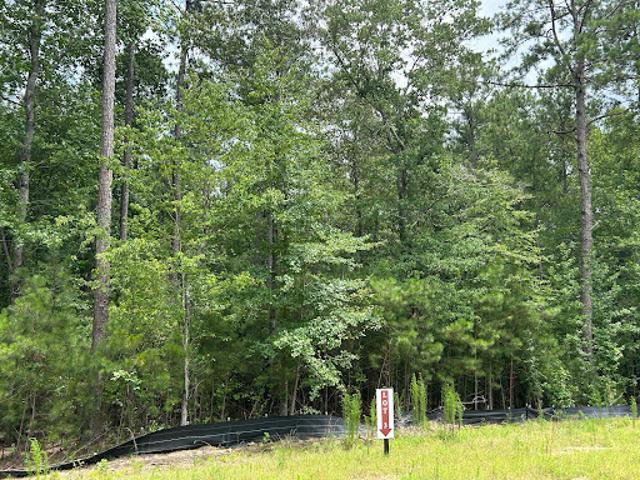 Land for sale in Georgia