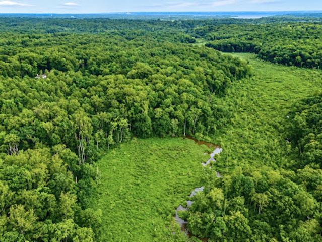 Land for sale in Virginia