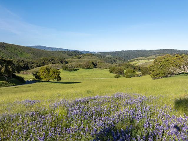 Land for sale in Carmel, California