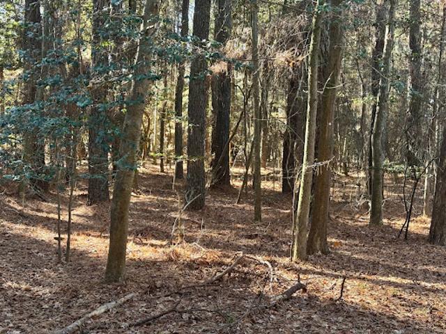 Land for sale in Virginia