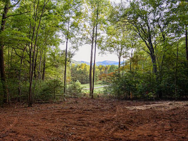 Land for sale in Blue Ridge