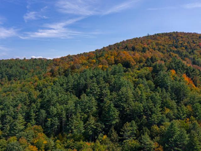 Land for sale in Sharon, Vermont