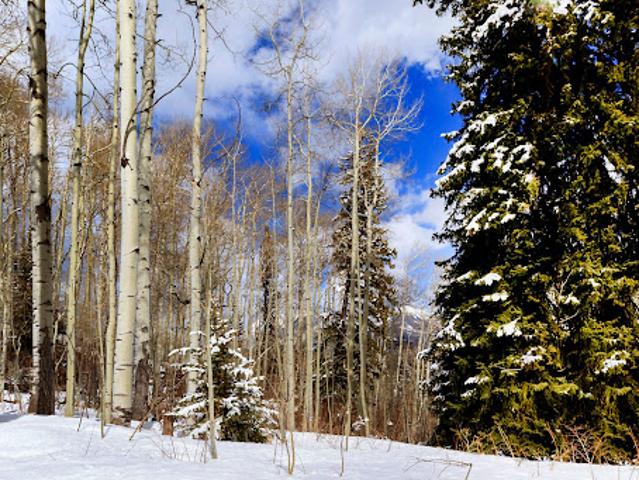 Land for sale in La Plata, Colorado