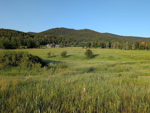 Land for sale in Victor