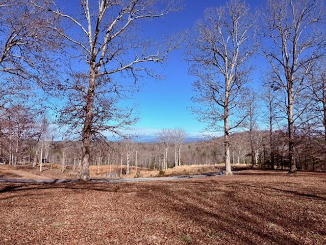 Land for sale in Blue Ridge, Georgia