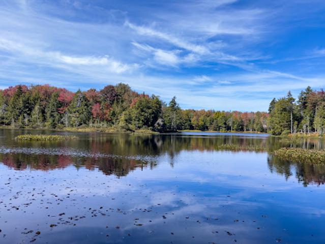 Land for sale in Oneida, New York