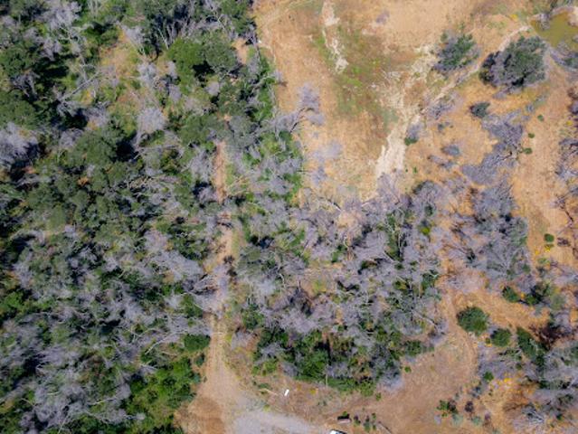 Land for sale in Napa, California