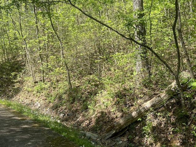 Land for sale in Cullowhee, North Carolina