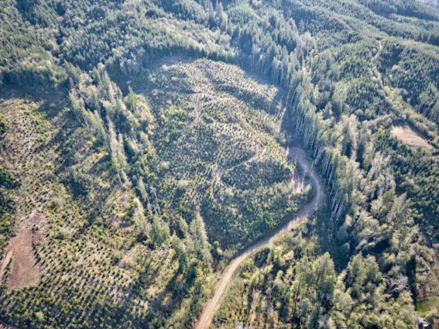 Land for sale in Naselle, Washington