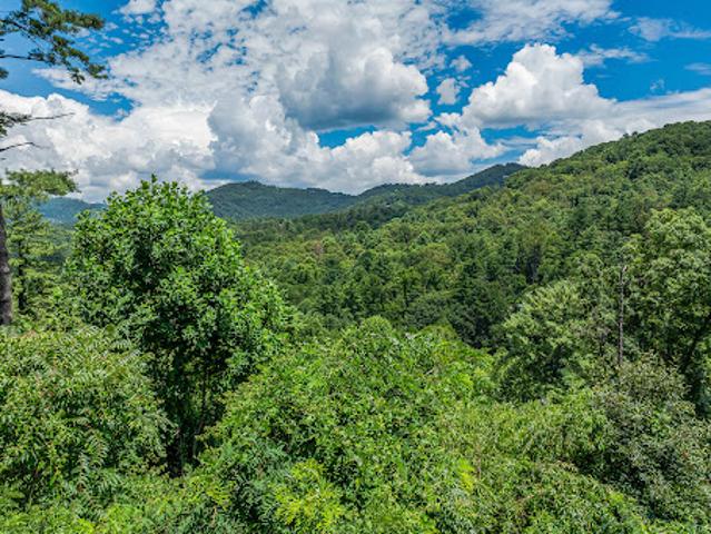 Land for sale in Asheville, North Carolina