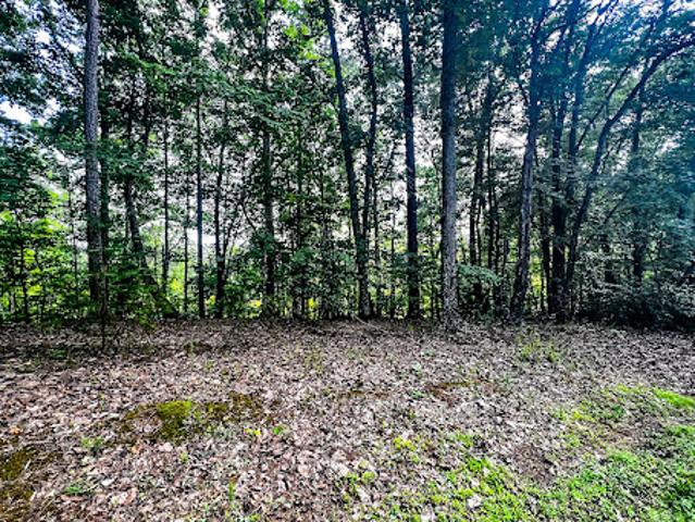 Land for sale in Rutherford, North Carolina