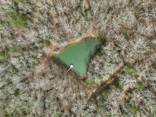 Land for sale in Morganton, Georgia