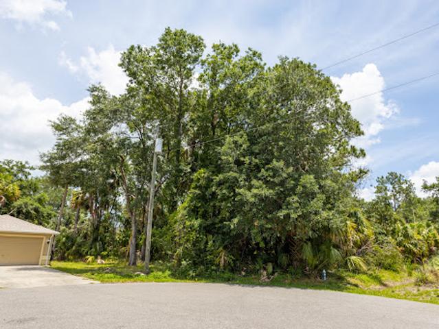 Land for sale in Palm Coast, Florida