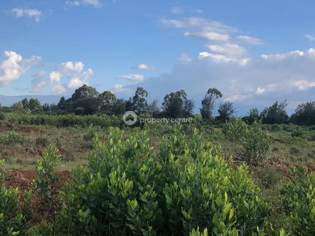 Land for sale in Nanyuki, Laikipia