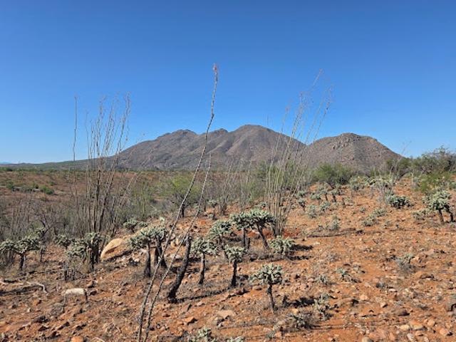 Land for sale in Arizona