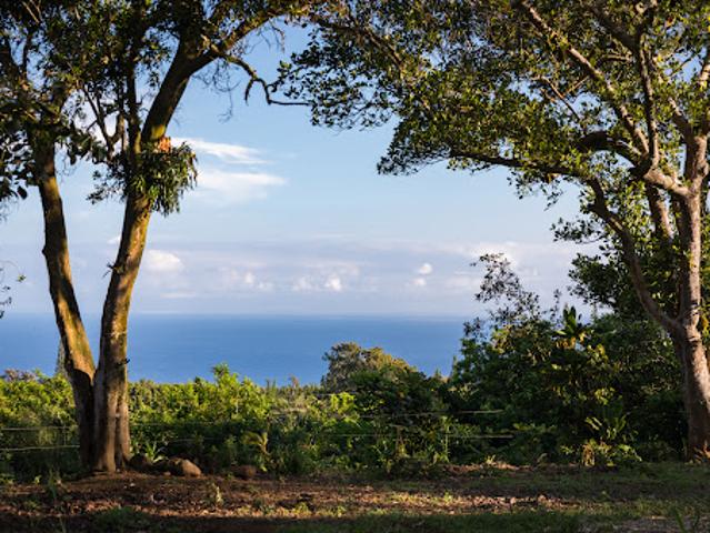 Land for sale in Hawi, Hawaii