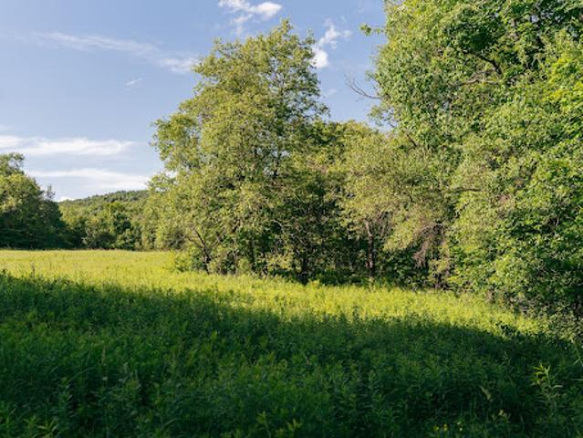 Land for sale in Brome-missisquoi, Quebec