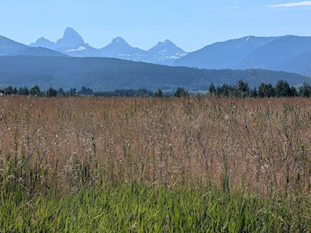 Land for sale in Driggs