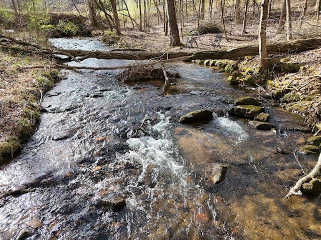 Land for sale in Blairsville, Georgia
