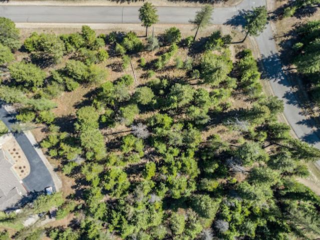 Land for sale in Priest River, Idaho