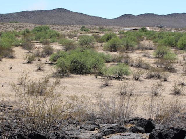 Land for sale in Arizona