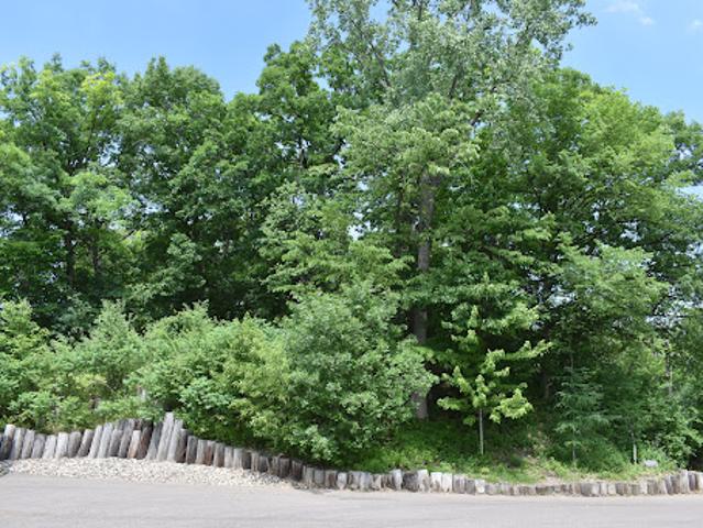 Land for sale in Hennepin, Minnesota