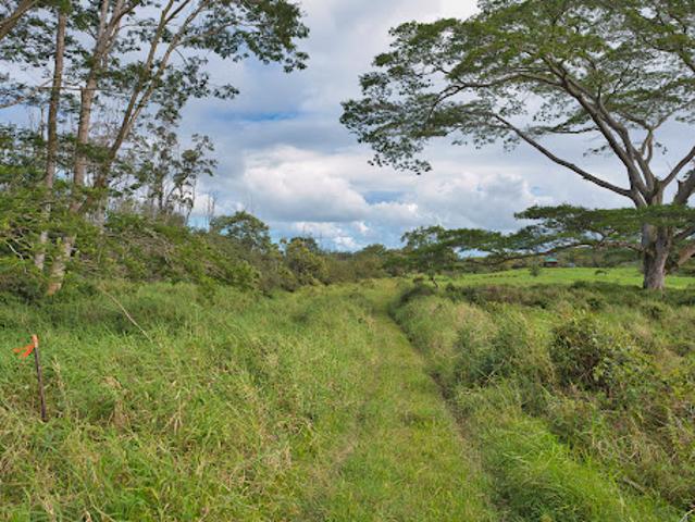 Land for sale in Pahoa, Hawaii