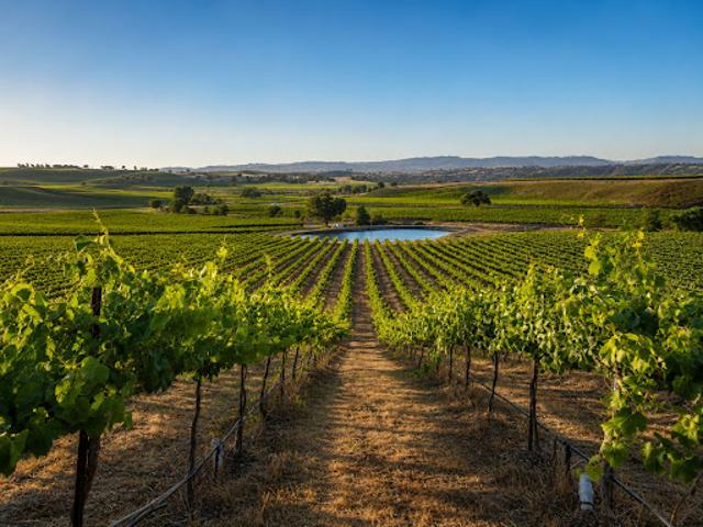 Land for sale in Paso Robles, California