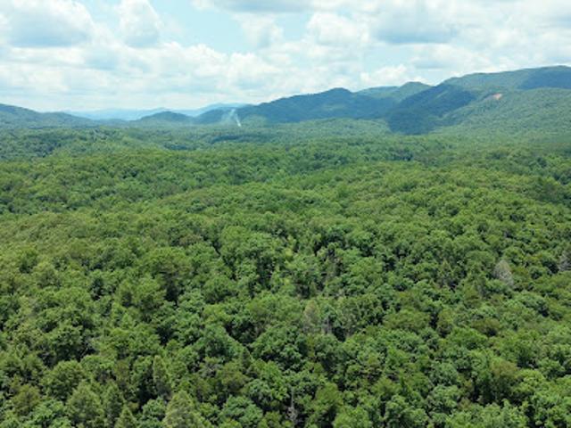Land for sale in Tennessee