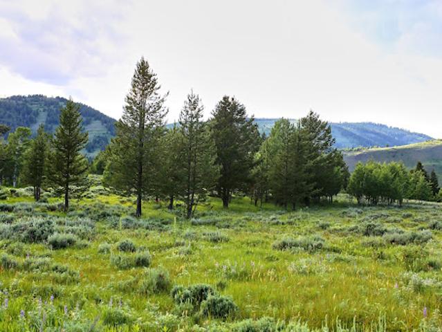 Land for sale in Wyoming