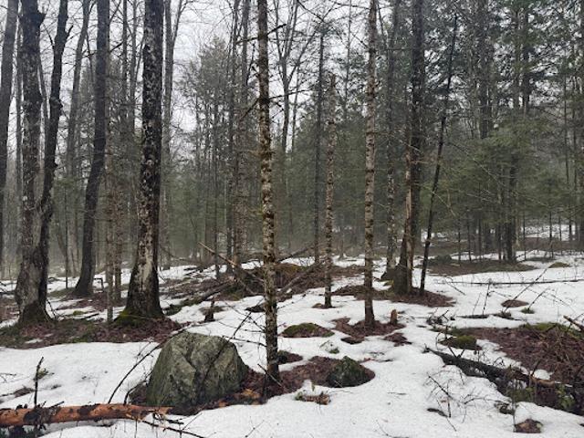 Land for sale in Newbury, Vermont