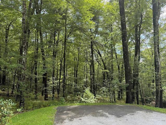 Land for sale in Cashiers, North Carolina