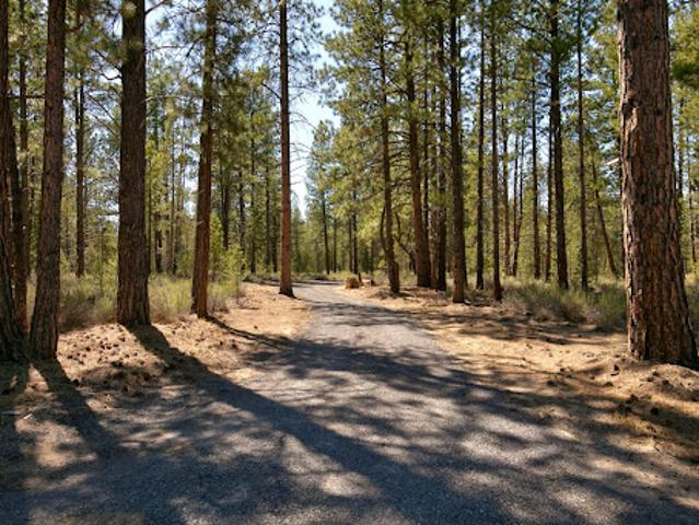 Land for sale in Oregonia