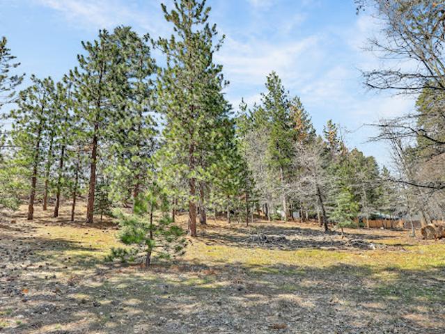 Land for sale in Green Valley Lake, California