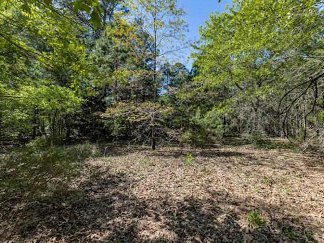 Land for sale in Hawkins, Wood County