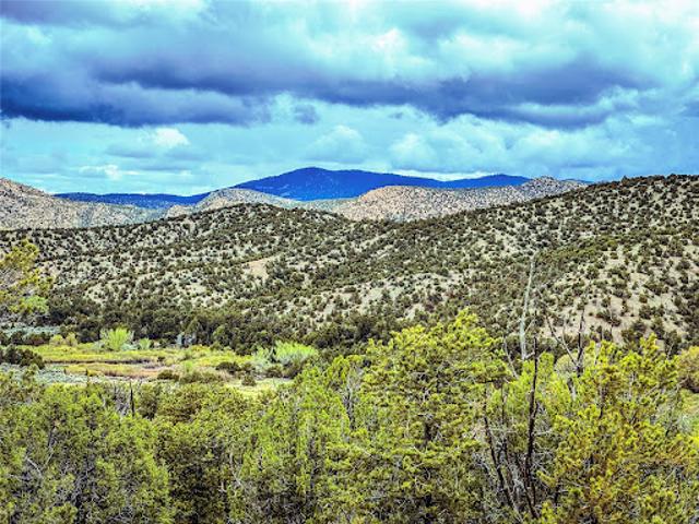 Land for sale in New Mexico