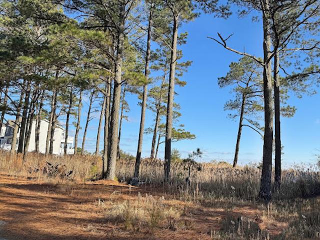 Land for sale in Virginia
