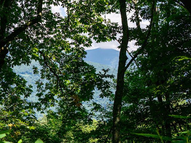 Land for sale in Haywood, North Carolina